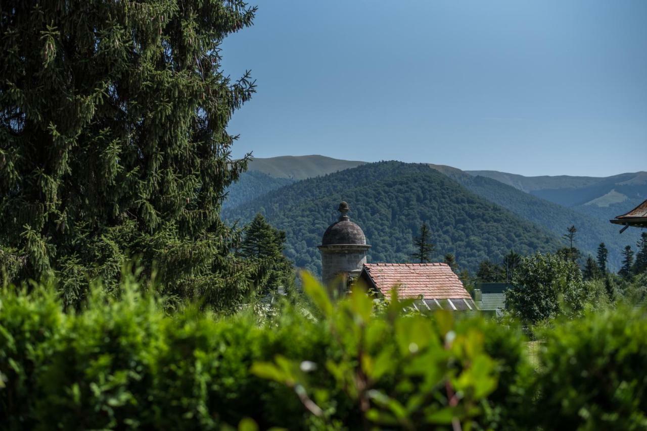Uphill Residence Sinaia Exterior foto